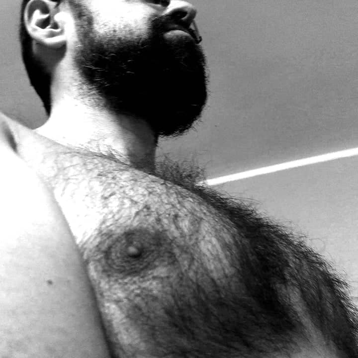 Avatar de @hairyteddy76